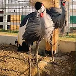 Penzion Eko Park Piestany Piest'any
