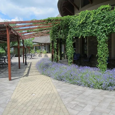 Гостевой дом Eko Park Пьештяни