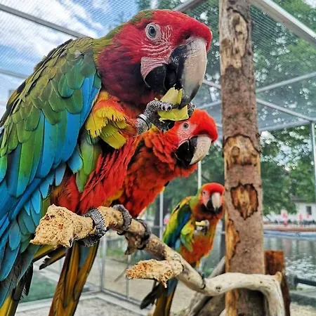 Penzion Eko Park Piestany Gasthof Piest'any