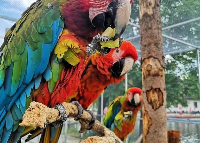 Eko Park Affittacamere Piest'any
